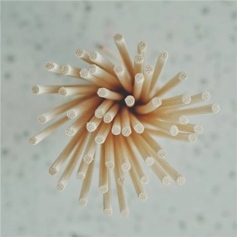 Klasikinis ne reed Diffuser Stick